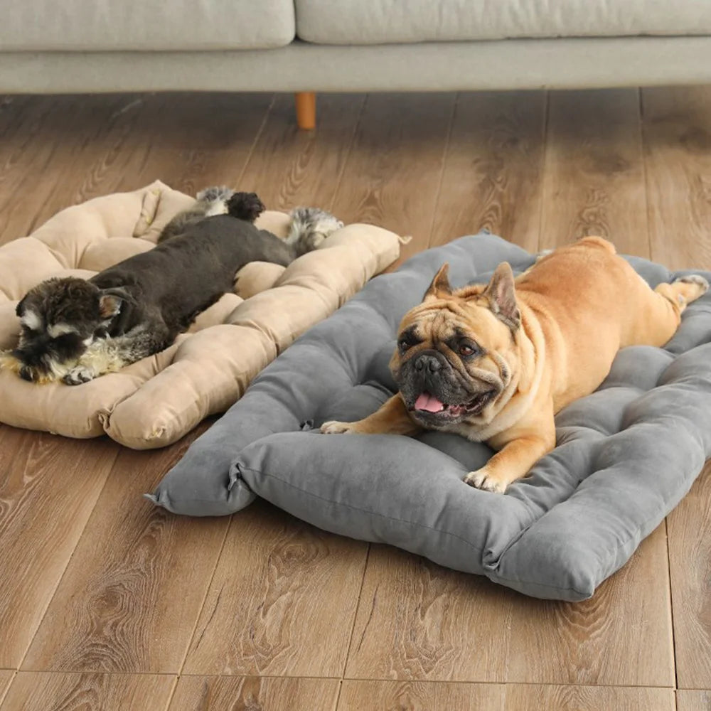 Vielseitiges 3-in-1 Haustierbett – Sofa, Matte oder Schlafhöhle