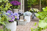 Eternal Floral Splendor - Maintenance-Free Artificial Flowers for Every Room