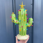 Lichtspiel | Vintage Weihnachtskaktus mit Glanz