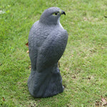 Lifelike eagle decoy for bird deterrence in the garden