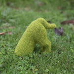 Vibrant Garden Decor - Transform Your Outdoor Space!