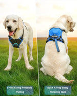 FlexiLeash | All-in-One Hundegeschirr mit einziehbarer Leine