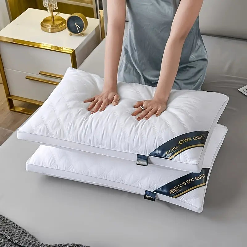 Deluxe Sleep Comfort - Set of 2 Hypoallergenic 3D Pillows for Optimal Neck Support