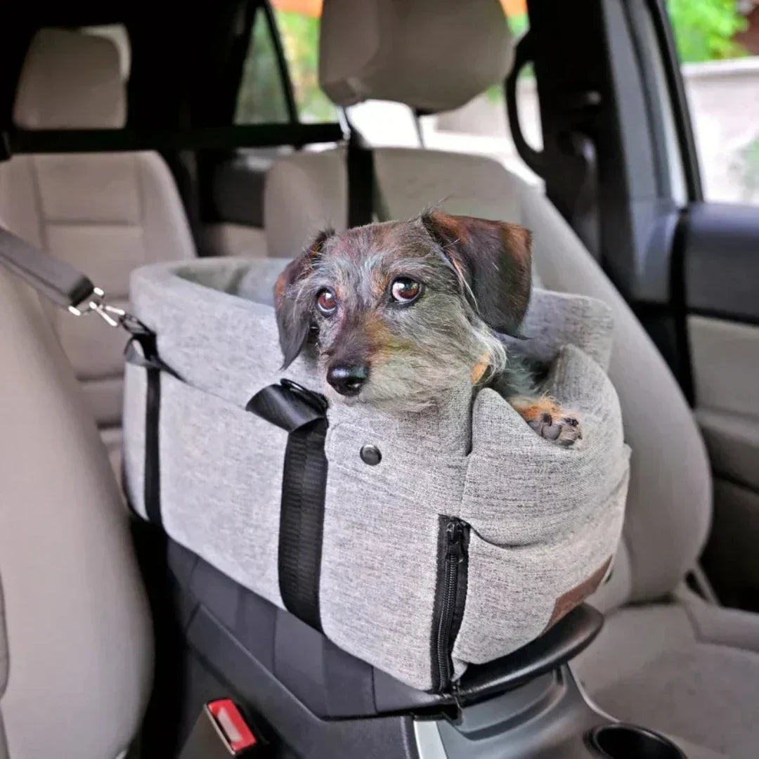 Sicherer Autositz für kleine Hunde – Gepolstert und stabil bis 11 kg