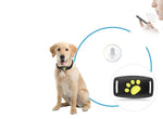Real-Time Cat GPS Locator with No Subscription Fee