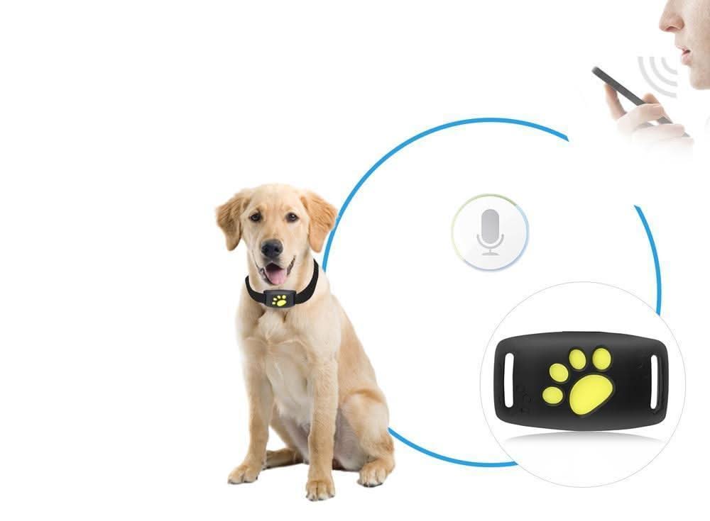 Real-Time Cat GPS Locator with No Subscription Fee
