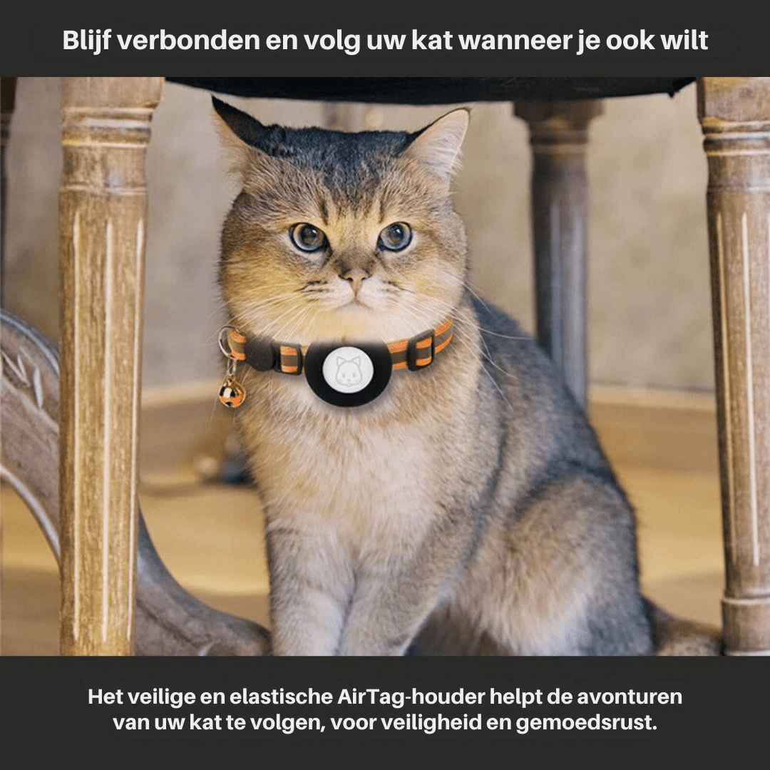 Sicherheits-GPS-Halsband für Katzen – Sichtbarkeit und Schutz