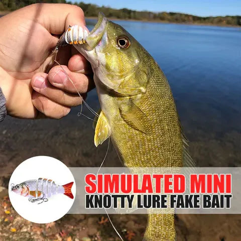 Fangmeister – The Perfect Solution for Successful Fishing Trips