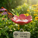 BlütenWasser – Your solution for a flourishing garden