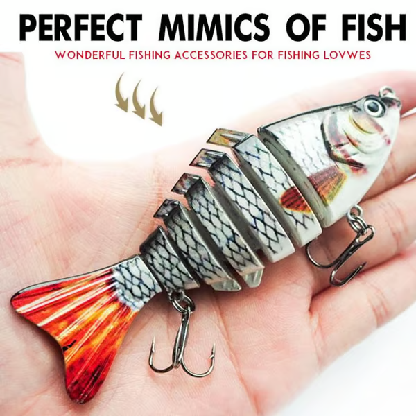 Fangmeister – The Perfect Solution for Successful Fishing Trips