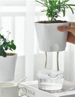 AquaCare – Stress-free Plant Watering for Your Home