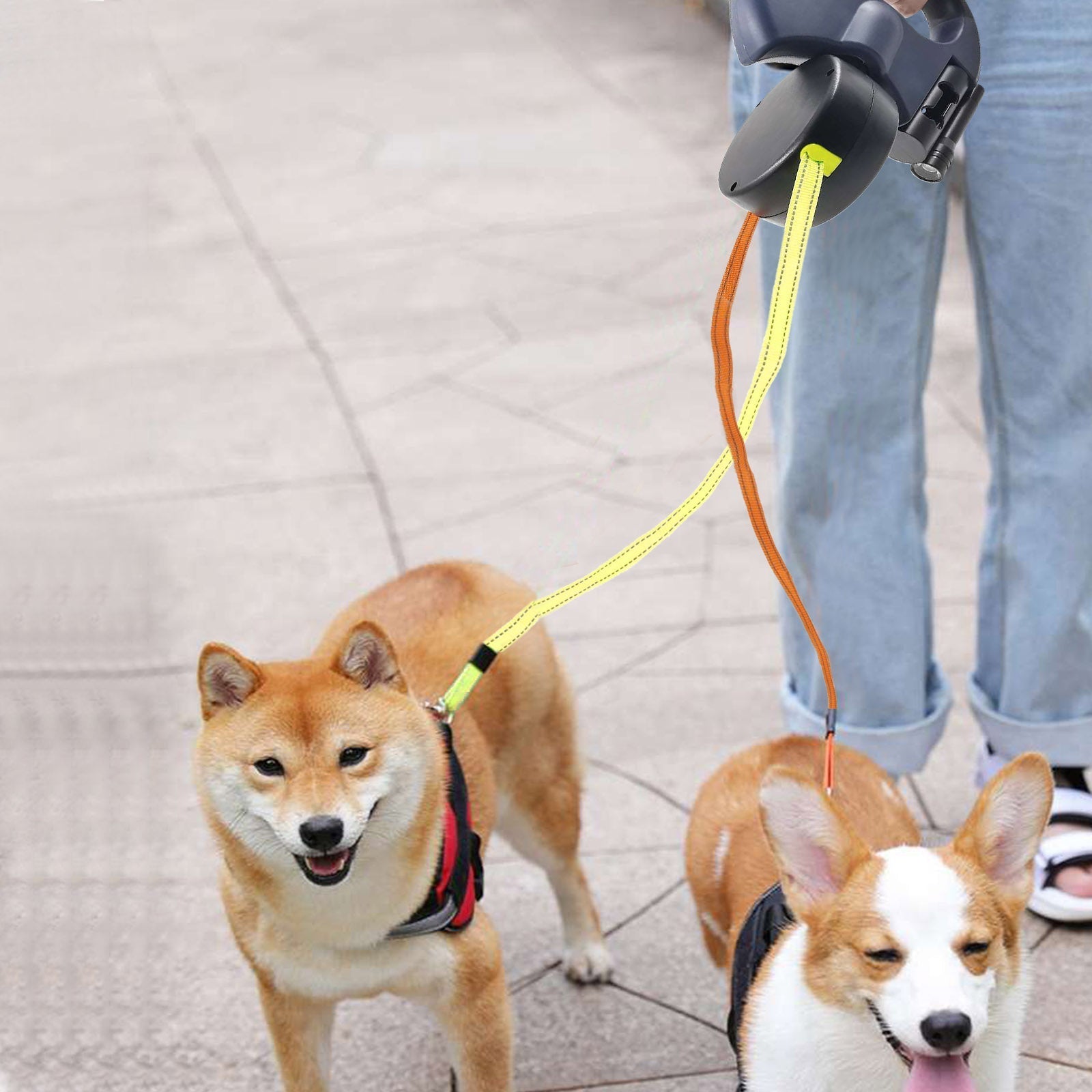 Doppelte, ausziehbare Hundeleine mit LED-Lampe – Spazierengehen mit zwei Hunden