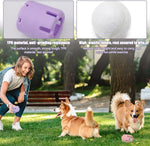 Frohsinn - Activity, Dental Care, and Joy for Your Dog