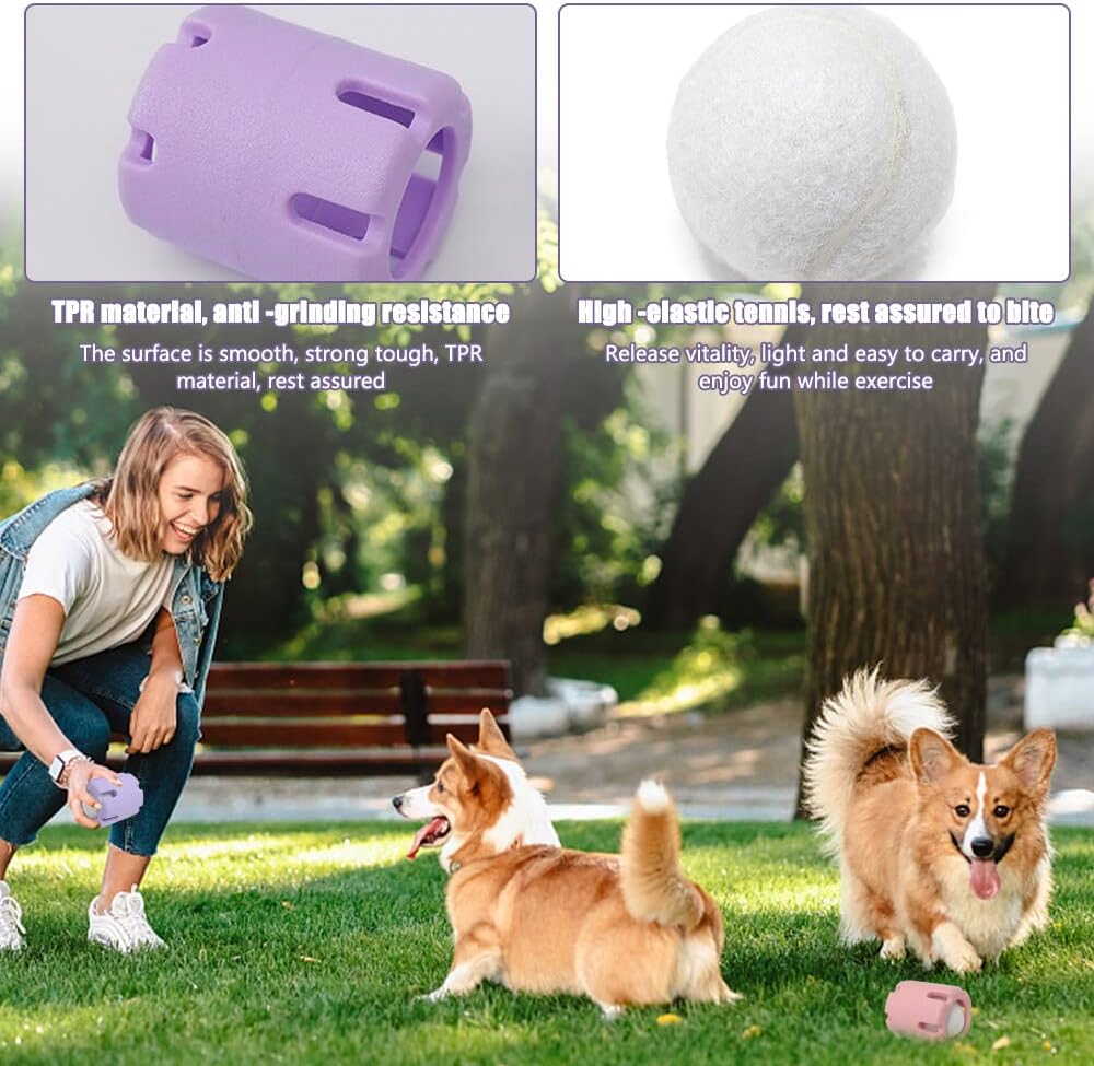 Frohsinn - Activity, Dental Care, and Joy for Your Dog