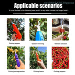 ErntePro Multifunctional Garden Shears | Ideal for Fruit and Vegetable Harvesting | 20.5 cm
