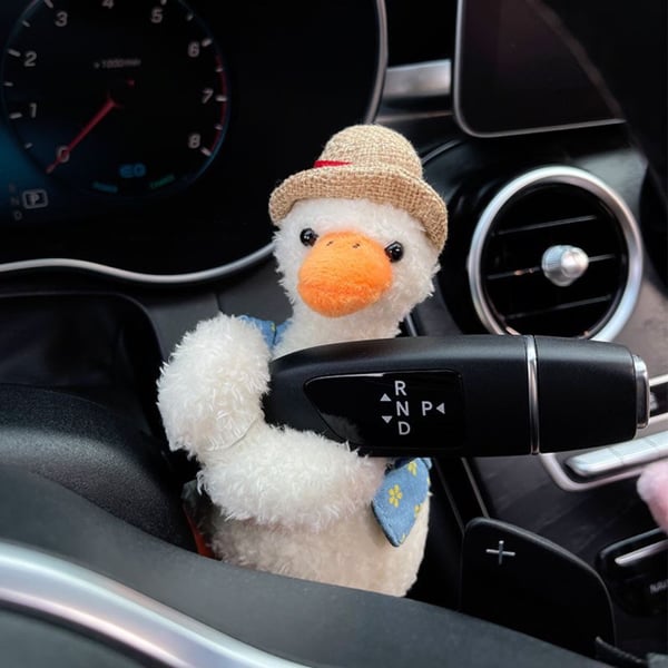 Hunde Auto Dekoration – Voltyx Stil