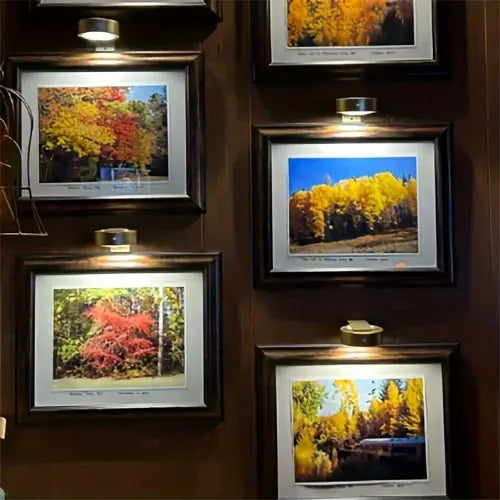 Light Accent Deluxe | Perfectly showcase your artworks