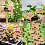 Plant care made easy with flexible wooden markers