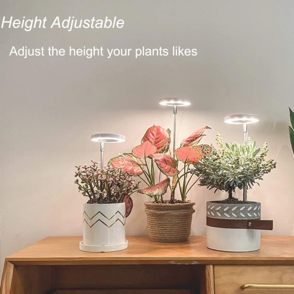 LumosPro – Promote your plants' growth all year round
