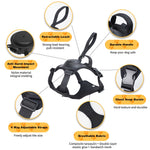 FlexiLeash | All-in-One Hundegeschirr mit einziehbarer Leine