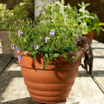 Fantastic Dinosaur Flower Pot Decoration | Hand-Painted | Weatherproof for Indoor and Outdoor Use