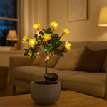LuminousPetals - Bring radiant light into your garden