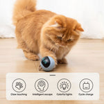Faszinierender LED-Spielball für Katzen