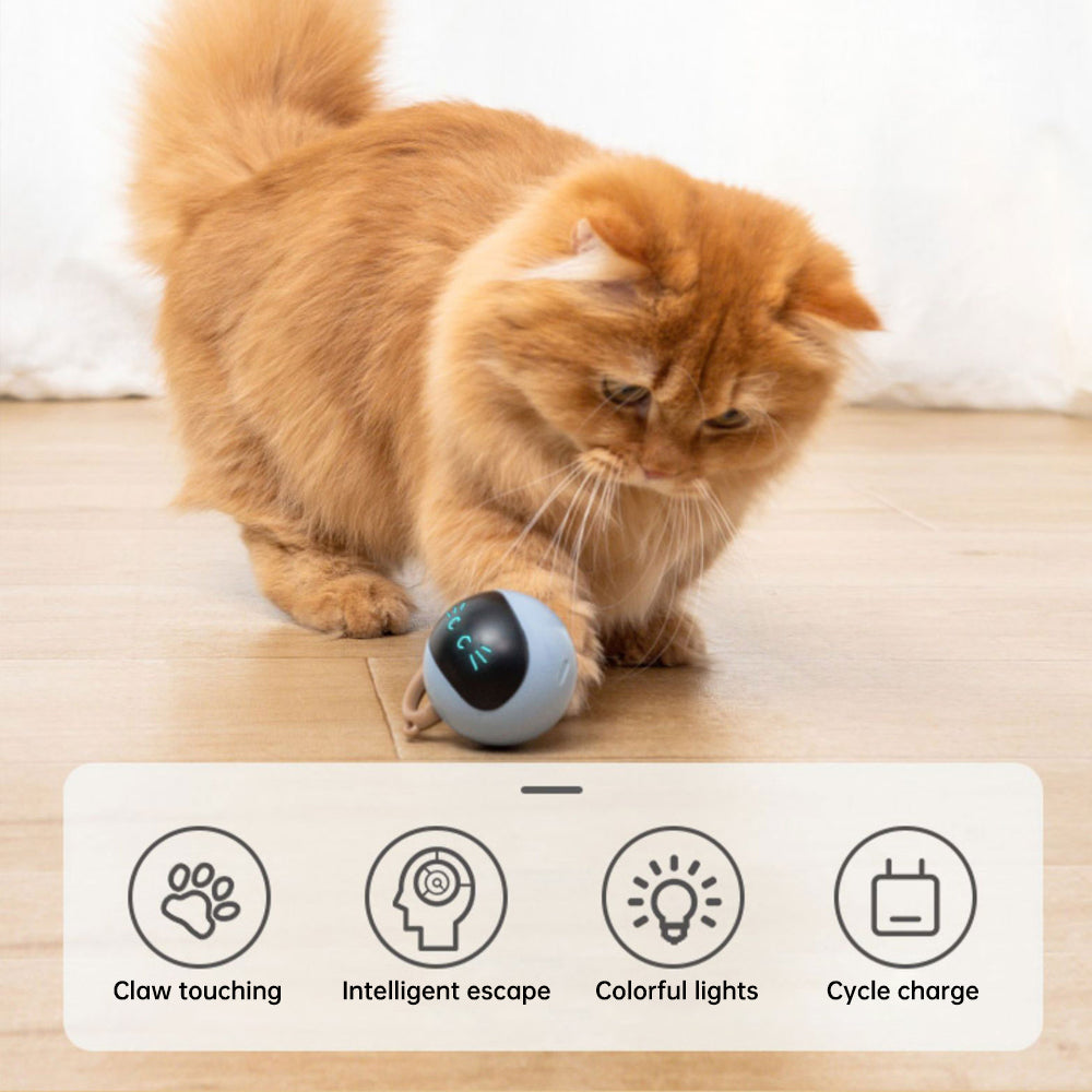 Faszinierender LED-Spielball für Katzen