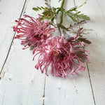 Elegant Art Chrysanthemum 38 cm | Realistic 10 cm Bloom