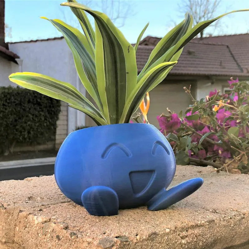 BlühBox – Bring color and joy to your home