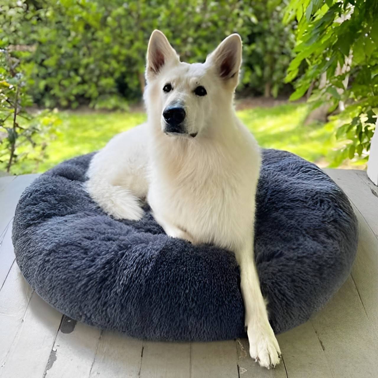 Beruhigendes Hundebett für entspannte Nächte