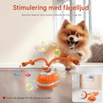 Interactive PetSphere – For hours of playtime fun and mental fitness