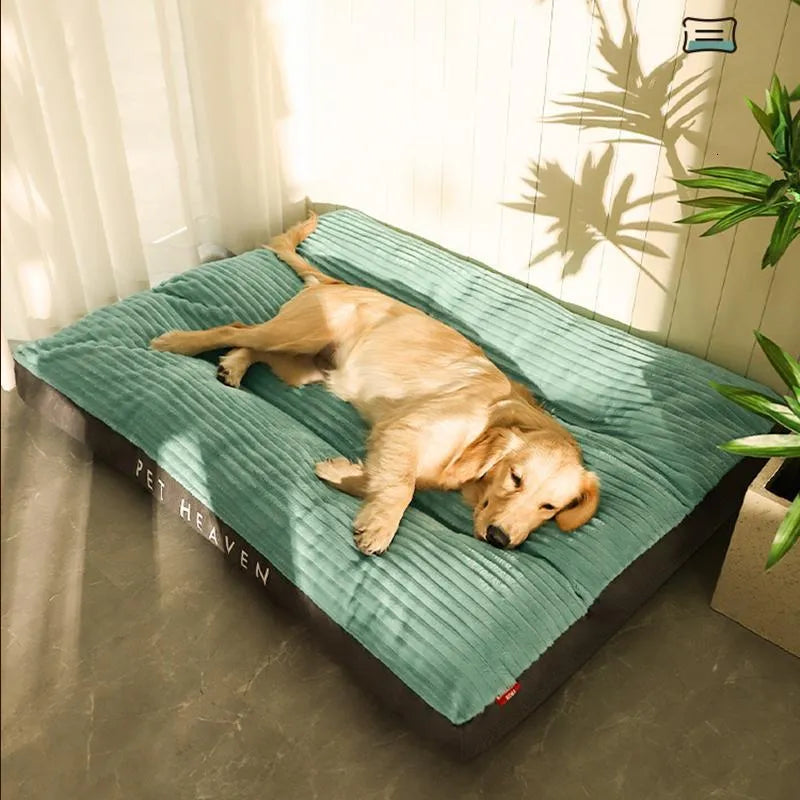 Orthopädisches Hundebett – Waschbarer, weicher Komfort für Hunde
