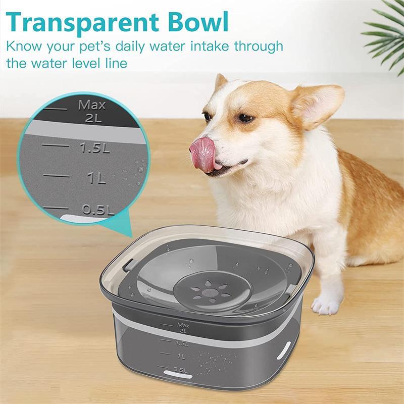 Praktische 2L Hundewasserflasche mit Sichtfenster | AquaPet