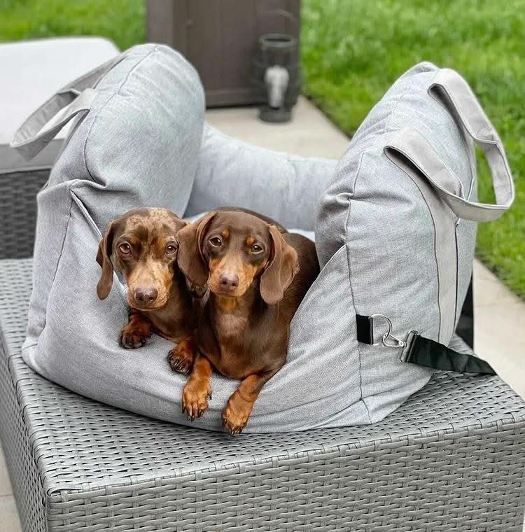 Car Travel Dog Booster Seat - Non-Slip Base with Safety Belt