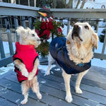 Wasserdichte Winterjacke für Hunde mit reflektierendem Geschirr