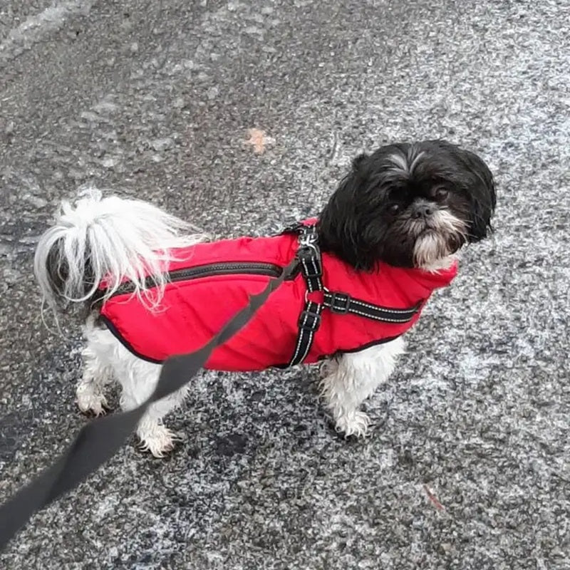 Wasserdichte Winterjacke für Hunde mit reflektierendem Geschirr
