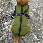 Wasserdichte Winterjacke für Hunde mit reflektierendem Geschirr