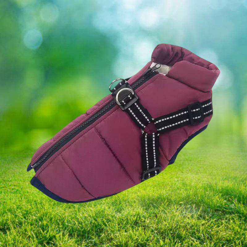 Wasserdichte Winterjacke für Hunde mit reflektierendem Geschirr
