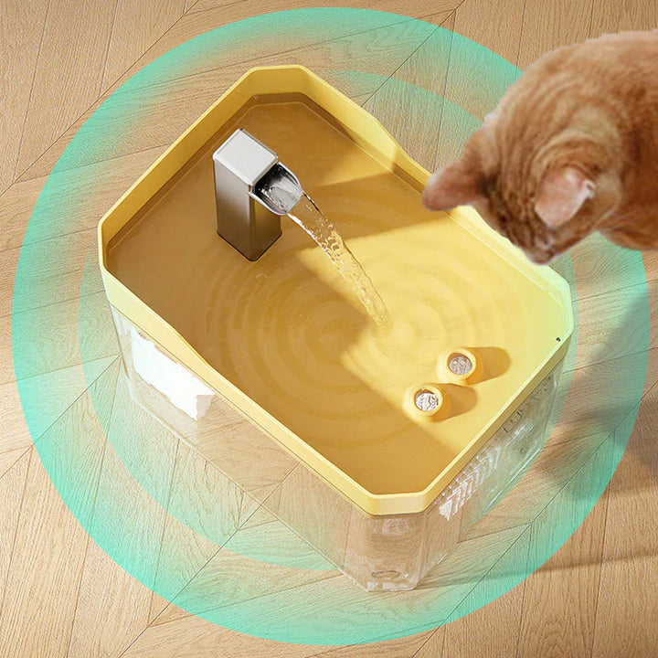 Intelligenter Wasserspender für Haustiere | AquaBuddy