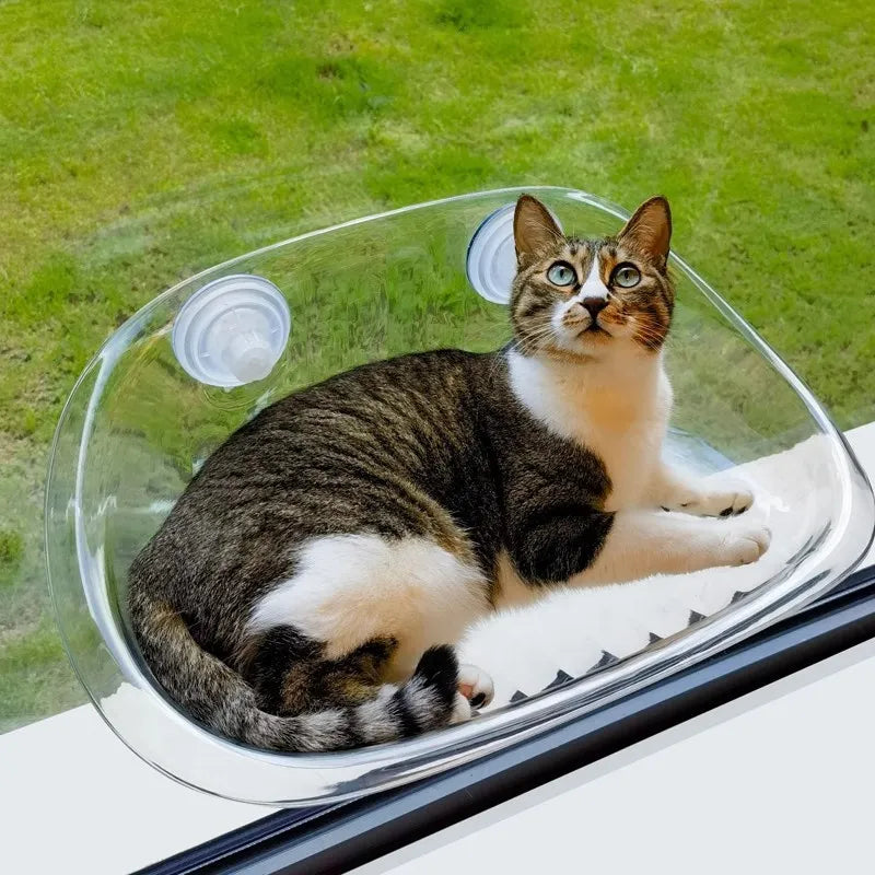 Katzenhängematte – Bequemlichkeit für Ihre Katze