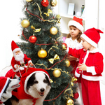 Hundekostüm als Weihnachtsmann