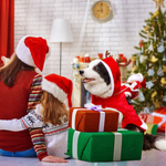 Hundekostüm als Weihnachtsmann