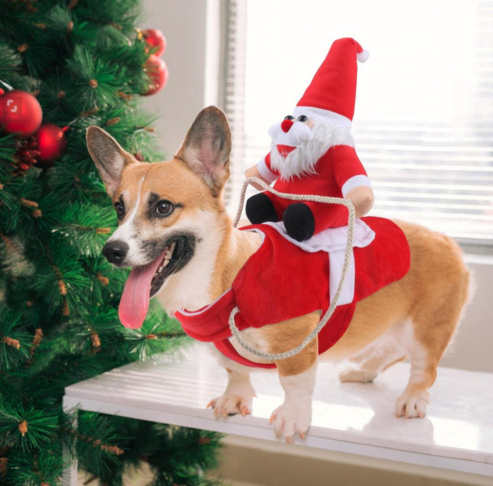 Hundekostüm als Weihnachtsmann