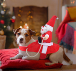Hundekostüm als Weihnachtsmann