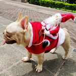 Hundekostüm als Weihnachtsmann