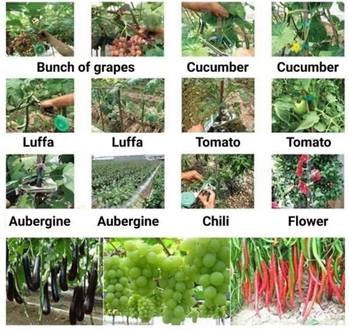 Pflanzenbinder und Pflanzenschnapper für Gartenarbeit