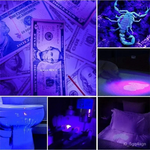 LumiGuard | UV-Taschenlampe zur Erkennung von Bettwanzen und Flecken