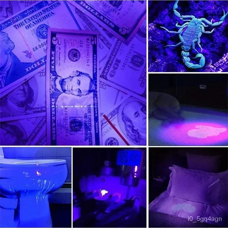 LumiGuard | UV-Taschenlampe zur Erkennung von Bettwanzen und Flecken