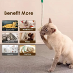 Katzenspielzeuge für verspielte Kätzchen - Gesundes Kauen